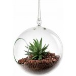DT GLASS Závěsná silnostěnná skleněná koule pro rostlinu - AERÁRIUM – Hledejceny.cz