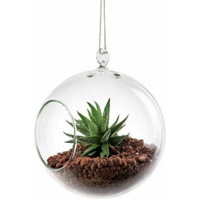 DT GLASS Závěsná silnostěnná skleněná koule pro rostlinu - AERÁRIUM – Hledejceny.cz