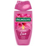 Palmolive Memories of Nature Flower Field sprchový gel 250 ml – Hledejceny.cz