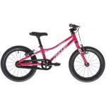 Amulet 16 Fun 2025 – Sleviste.cz