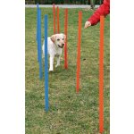 Agility Slalom Překážky pro psy 115 x 3 cm – Sleviste.cz