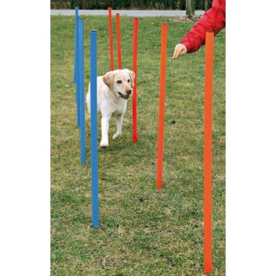 Agility Slalom Překážky pro psy 115 x 3 cm – Zboží Mobilmania