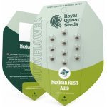 Royal Queen Seeds Mexican Rush Auto semena neobsahují THC 3 ks – Zboží Dáma