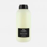 Davines OI Shampoo 1000 ml – Hledejceny.cz