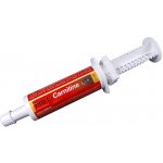 Horse Master Pro L Carnitine 60 ml – Hledejceny.cz