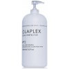 Vlasová regenerace Olaplex OLAPLEX® Bond Perfector No. 2 kúra po barvení 2000 ml