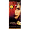Barva na vlasy Color Time dlouhotrvající gelová barva na vlasy 69 měděná vášeň 85 ml