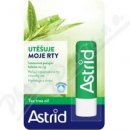 Astrid balzám na rty Tea Tree Oil+Shea Butter 4,8 g