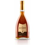 Kvint Divin VSOP 5y 40% 0,5 l (holá láhev) – Zboží Dáma