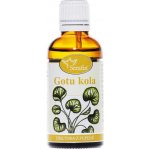 Serafin Gotukola tinktura z pupenů 50 ml – Hledejceny.cz