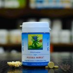 TCM Herbs Pilulka hořce 100 tablet – Hledejceny.cz