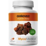 MycoMedica Ohňovec extrakt, 400 mg 120 rostlinných kapslí – Hledejceny.cz