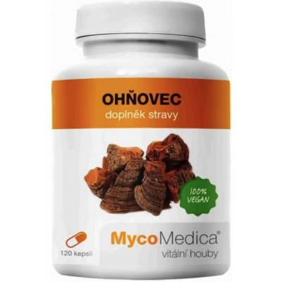 MycoMedica Ohňovec extrakt, 400 mg 120 rostlinných kapslí – Hledejceny.cz