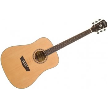 Washburn WD10NS