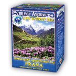 Everest Ayurveda PRANA Povzbuzení vitality a životní energie 100 g – Hledejceny.cz