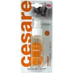 Mr&Mrs Fragrance Cesare Spray Energy – Hledejceny.cz