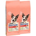 Purina Dog Chow Active Chicken 2 x 14 kg – Zboží Mobilmania