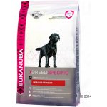 Eukanuba Labrador Retriever 12 kg – Hledejceny.cz