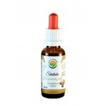 Salvia Paradise Shiitake tinktura 30 ml – Hledejceny.cz