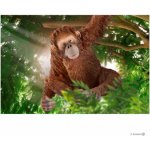 Schleich 14775 Orangutan – Sleviste.cz