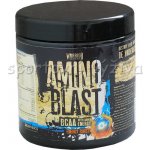 Warrior Amino Blast 270 g – Hledejceny.cz