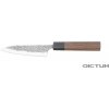 Kuchyňský nůž Dictum Japonský nůž Kurosaki Hocho Gyuto Fish and Meat Knife 120 mm