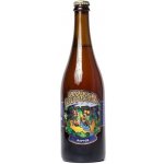 Matuška Raptor IPA 15° 0,75 l (sklo) – Sleviste.cz