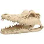 Repti Planet Krokodýl lebka 13,8x6,8x6,5 cm – Zboží Dáma