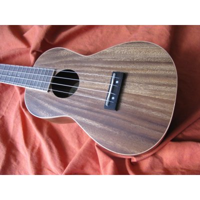 Java by Tanglewood TUJ 2 – Zbozi.Blesk.cz