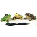 Rappa Žába se zvukem 8 cm – Sleviste.cz