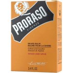 Proraso Wood & Spice balzám na vousy 100 ml – Sleviste.cz