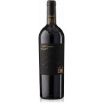 Peter Zemmer Alto Adige Lagrein Riserva DOC 2023 13,5 % 0,75 l (holá lahev) – Sleviste.cz