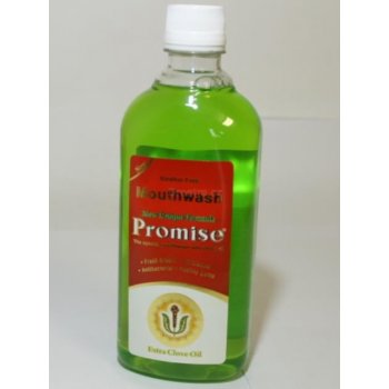 Promise s hřebíčkovým olejem Ústní voda 500 ml