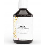 Zinzino BalanceOil+ Vanilla 300 ml – Hledejceny.cz
