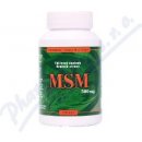 Kompava MSM 500 mg 120 kapslí