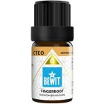 Bewit esenciální olej Zázvor čínský 5 ml – Hledejceny.cz