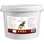 Over Horse Boswellia Premium 1 kg – Hledejceny.cz