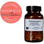 Houbičky.eu Bio outkovka pestrá bio coriolus versicolor 100 kapslí – Hledejceny.cz