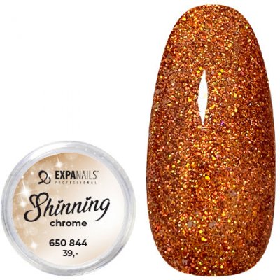 Expa nails třpytky na zdobení nehtů shining chrome glitter 4 2 g – Zbozi.Blesk.cz