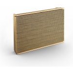 Bang & Olufsen Level – Sleviste.cz