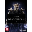 The Elder Scrolls 5: Skyrim Dragonborn