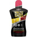 EthicSport MALTOSHOT ENDURANCE 50 ml