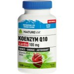 NatureVia Koenzym Q10 Cardio kapsle pro normální funkci srdce a cév 120 kapslí – Zboží Dáma