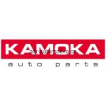 KAMOKA F261701 Vzduchový filtr (F261701) – Hledejceny.cz