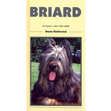 Briard - Timy