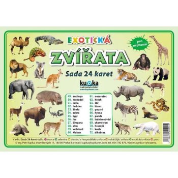 Sada 24 karet - zvířata exotická A4 30x21 cm