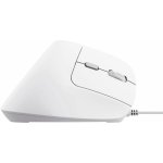 Trust Bayo II Ergonomic Wireless Mouse 25397 – Zboží Živě