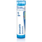 IPECACUANHA POR 9CH GRA 1X4G – Hledejceny.cz