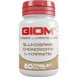 Giom Chondro L-karnitin Forte 60 tbl – Hledejceny.cz