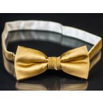 AMJ MP011 zlatá – Zbozi.Blesk.cz